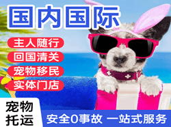 承德普宁机场快运国际宠物托运 【国